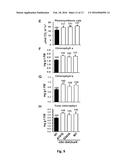 MUTANT GIBBERELLIN 2-OXIDASE GENES AND USES THEREOF diagram and image