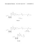 METHODS AND APPARATUS FOR SYNTHESIZING NUCLEIC ACID diagram and image