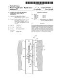 FERROFLUID TOOL FOR PROVIDING MODIFIABLE STRUCTURES IN BOREHOLES diagram and image