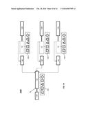 POWER TRAIN ARCHITECTURES WITH HYBRID-TYPE LOW-LOSS BEARINGS AND     LOW-DENSITY MATERIALS diagram and image