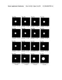 LIGHT DIFFUSION FILM AND LIGHT DIFFUSION FILM MANUFACTURING METHOD diagram and image