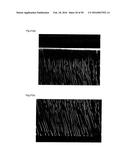 LIGHT DIFFUSION FILM AND LIGHT DIFFUSION FILM MANUFACTURING METHOD diagram and image