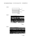 LIGHT DIFFUSION FILM AND LIGHT DIFFUSION FILM MANUFACTURING METHOD diagram and image