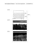 LIGHT DIFFUSION FILM AND LIGHT DIFFUSION FILM MANUFACTURING METHOD diagram and image