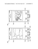 SYSTEM AND COMPUTER METHOD FOR VISUALLY GUIDING A USER TO A CURRENT     INTEREST diagram and image