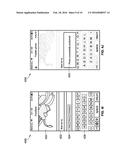 SYSTEM AND COMPUTER METHOD FOR VISUALLY GUIDING A USER TO A CURRENT     INTEREST diagram and image