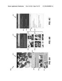 SYSTEMS AND METHODS FOR FACILITATING DISCOVERY AND MANAGEMENT OF BUSINESS     INFORMATION diagram and image