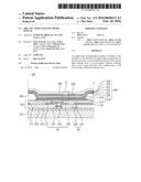 ORGANIC LIGHT EMITTING DIODE DISPLAY diagram and image