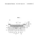 ORGANIC LIGHT EMITTING DIODE DISPLAY diagram and image