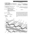 FUEL CELL WITH IMPROVED REACTANT DISTRIBUTION diagram and image