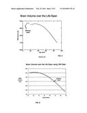 SYSTEM AND METHOD FOR CALCULATING BRAIN VOLUME diagram and image