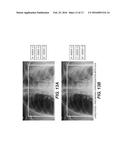 METHOD AND SYSTEM FOR QUANTITATIVE IMAGING diagram and image