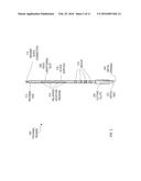 ADJUSTABLE REAMING DEVICE HAVING A DISCRETELY POSITIONABLE STOP ELEMENT diagram and image