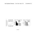 MESOPOROUS SILICA-COATED NANOPARTICLES diagram and image