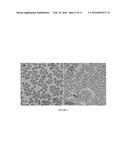 MESOPOROUS SILICA-COATED NANOPARTICLES diagram and image