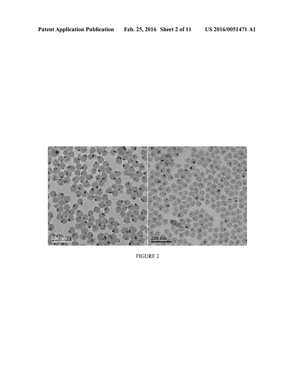 MESOPOROUS SILICA-COATED NANOPARTICLES - diagram, schematic, and image 03