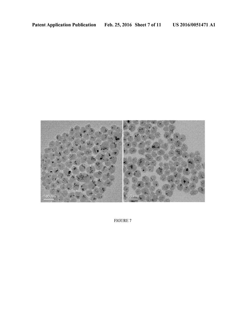 MESOPOROUS SILICA-COATED NANOPARTICLES - diagram, schematic, and image 08