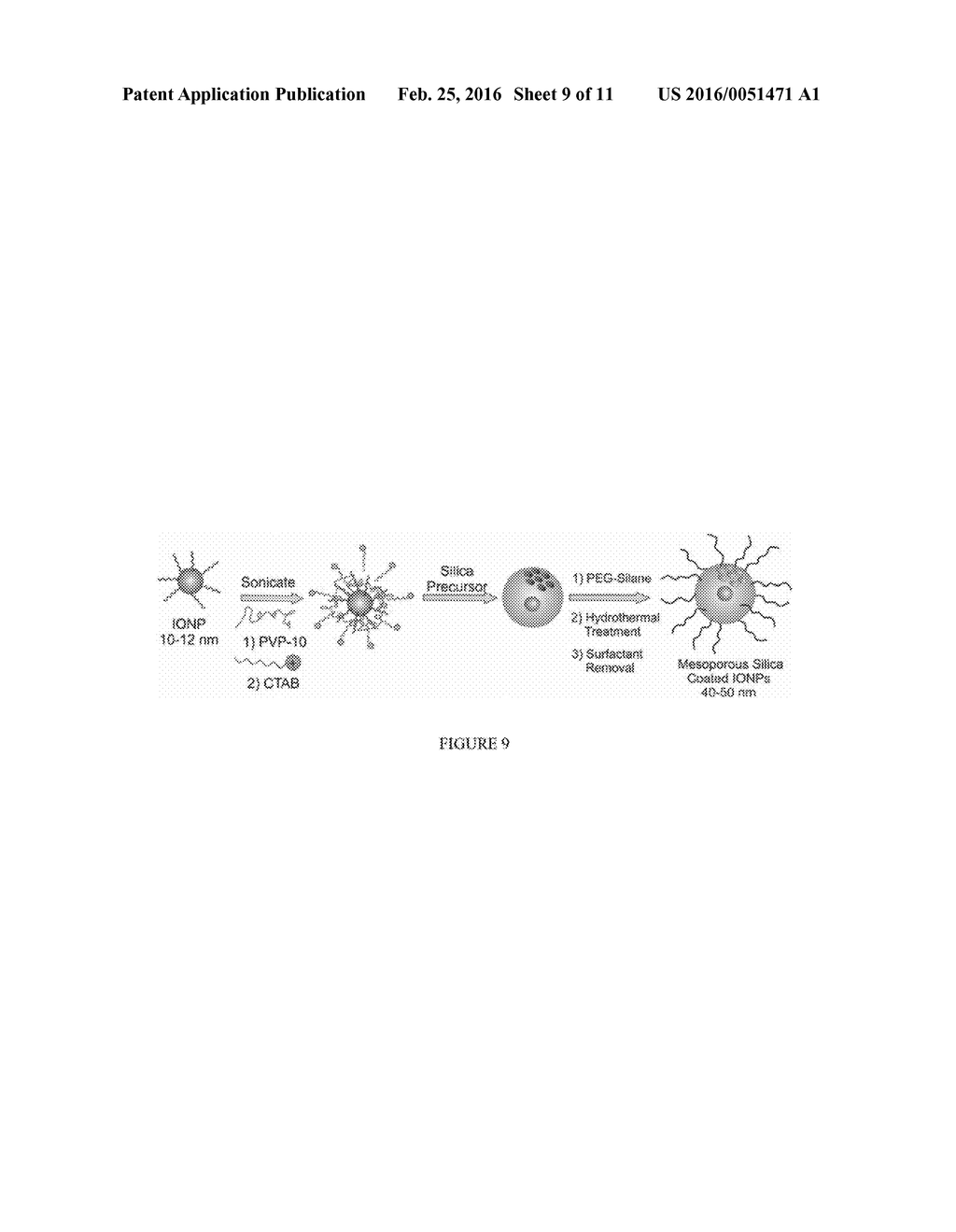 MESOPOROUS SILICA-COATED NANOPARTICLES - diagram, schematic, and image 10