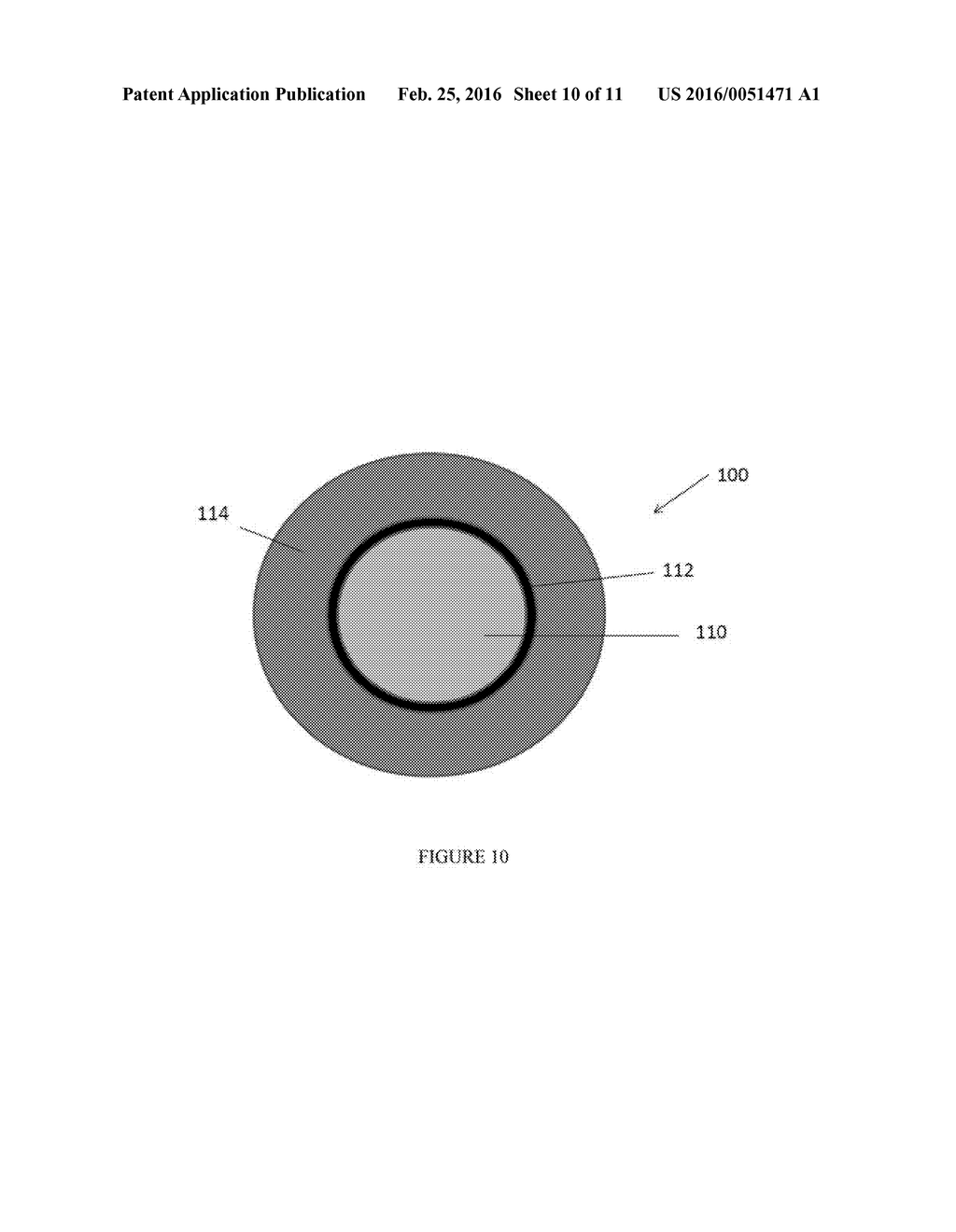 MESOPOROUS SILICA-COATED NANOPARTICLES - diagram, schematic, and image 11