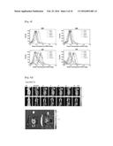 DRUG CARRIER HAVING SELF-ASSEMBLED 3-D NUCLEIC ACID NANOSTRUCTURE diagram and image