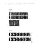 DRUG CARRIER HAVING SELF-ASSEMBLED 3-D NUCLEIC ACID NANOSTRUCTURE diagram and image