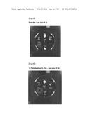 DRUG CARRIER HAVING SELF-ASSEMBLED 3-D NUCLEIC ACID NANOSTRUCTURE diagram and image