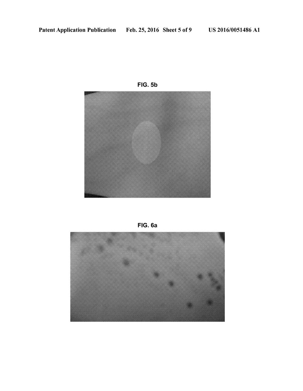 TRANSDERMAL DELIVERY SYSTEM COMPRISING DONEPEZIL OR ITS SALT - diagram, schematic, and image 06