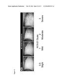 METHODS AND COMPOSITIONS FOR DAILY OPHTHALMIC ADMINISTRATION OF     PHENTOLAMINE TO IMPROVE VISUAL PERFORMANCE diagram and image