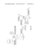 THERAPEUTIC POLYMERIC NANOPARTICLES COMPRISING EPOTHILONE AND METHODS OF     MAKING AND USING SAME diagram and image