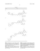 ANTAGONIST OF THE FIBROBLAST GROWTH FACTOR RECEPTOR 3 (FGFR3) FOR USE IN     THE TREATMENT OR THE PREVENTION OF SKELETAL DISORDERS LINKED WITH     ABNORMAL ACTIVATION OF FGFR3 diagram and image