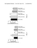 CYCLODEXTRIN AND BUDESONIDE DERIVATIVE COMPOSITIONS AND METHODS diagram and image