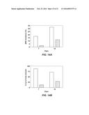 NITRIC OXIDE TREATMENT OF BOVINE RESPIRATORY DISEASE COMPLEX AND OTHER     RESPIRATORY CONDITIONS diagram and image