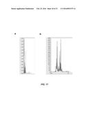 NITRIC OXIDE TREATMENT OF BOVINE RESPIRATORY DISEASE COMPLEX AND OTHER     RESPIRATORY CONDITIONS diagram and image