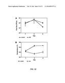 NITRIC OXIDE TREATMENT OF BOVINE RESPIRATORY DISEASE COMPLEX AND OTHER     RESPIRATORY CONDITIONS diagram and image