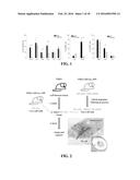 COMPOSITIONS AND METHODS FOR TREATMENT OF VESSEL DISEASE diagram and image