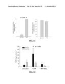 COMPOSITIONS AND METHODS FOR TREATMENT OF VESSEL DISEASE diagram and image