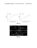 COMPOSITIONS AND METHODS FOR TREATMENT OF VESSEL DISEASE diagram and image