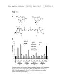 SEAWEED EXTRACTS, UNSATURATED ALDEHYDES, AND METHODS OF TREATMENT diagram and image