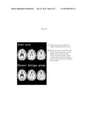 COMPOSITION FOR BRAIN ACTIVATION, COMPRISING GINSENG FRUIT EXTRACT diagram and image