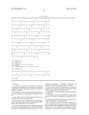 COMBINATION OF BLyS INHIBITION AND ANTI-CD 20 AGENTS FOR TREATMENT OF     AUTOIMMUNE DISEASE diagram and image