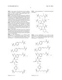 HER2 ANTIBODY-DRUG CONJUGATES diagram and image