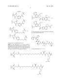 HER2 ANTIBODY-DRUG CONJUGATES diagram and image