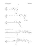 HER2 ANTIBODY-DRUG CONJUGATES diagram and image