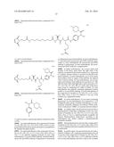 HER2 ANTIBODY-DRUG CONJUGATES diagram and image