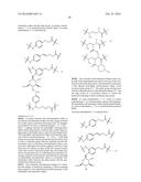 HER2 ANTIBODY-DRUG CONJUGATES diagram and image