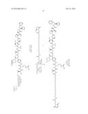 HER2 ANTIBODY-DRUG CONJUGATES diagram and image