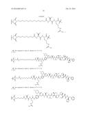 HER2 ANTIBODY-DRUG CONJUGATES diagram and image