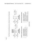 FUNCTIONALIZATION OF AND USE OF FUNCTIONALIZED SECOND HARMONIC GENERATING     NANOPROBES diagram and image