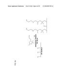 FUNCTIONALIZATION OF AND USE OF FUNCTIONALIZED SECOND HARMONIC GENERATING     NANOPROBES diagram and image