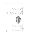 FUNCTIONALIZATION OF AND USE OF FUNCTIONALIZED SECOND HARMONIC GENERATING     NANOPROBES diagram and image